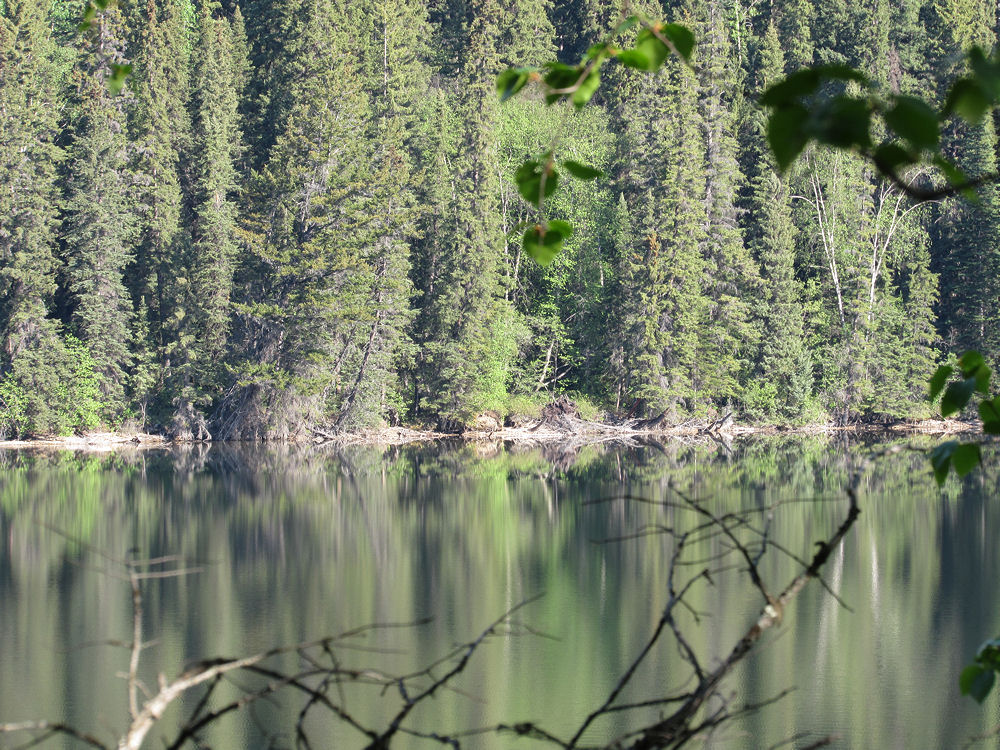 Yellowhead Lake