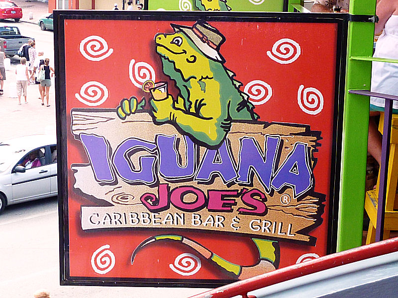 Iguana Joes