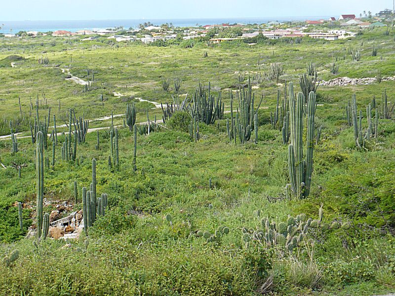 View towards San Nicolas