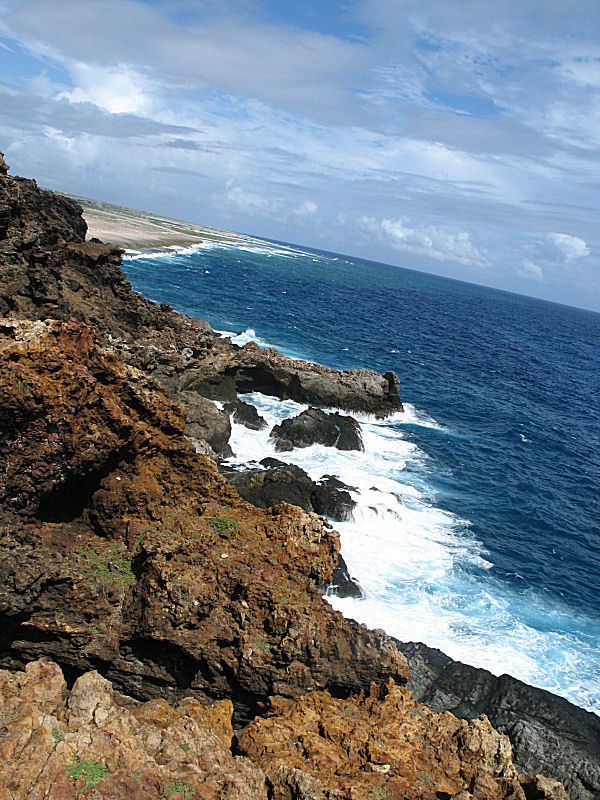 Southern Coast of Aruba
