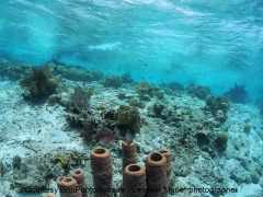 Klein Bonaire