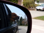 Riding in the car