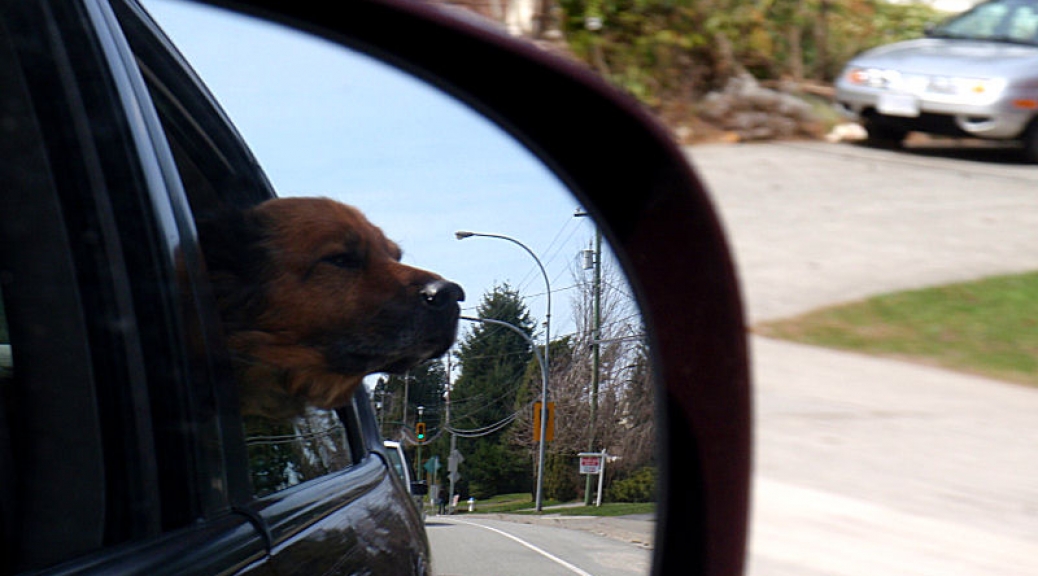 Riding in the car