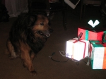 Max with Christmas Presents