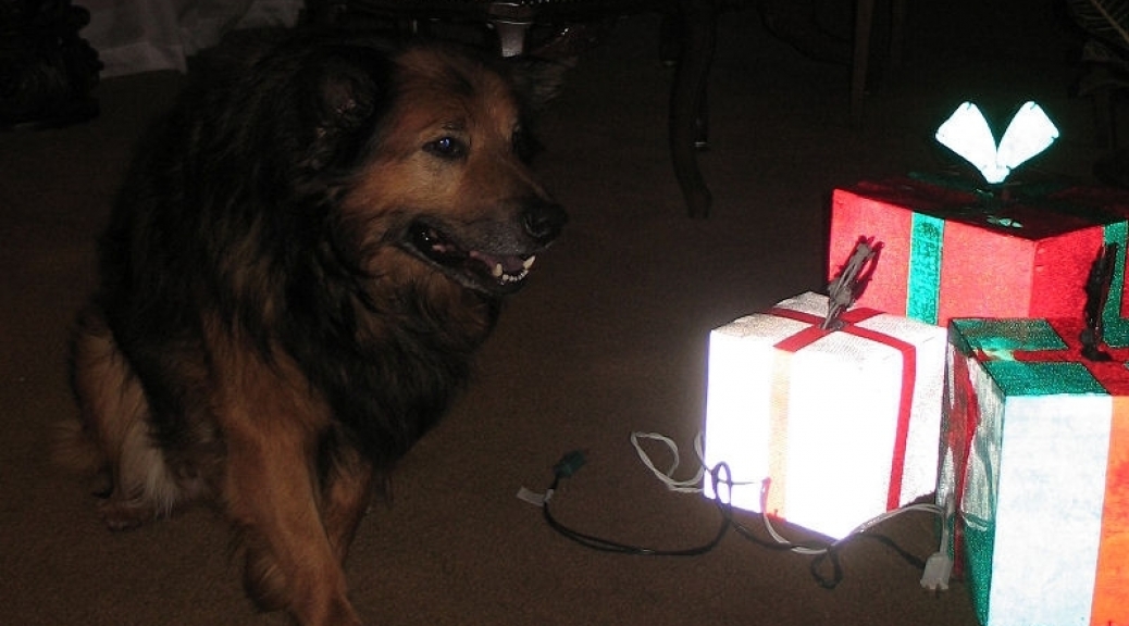 Max with Christmas Presents