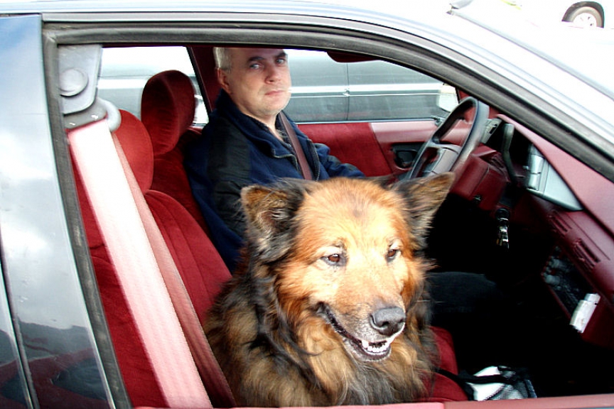 Riding in the car