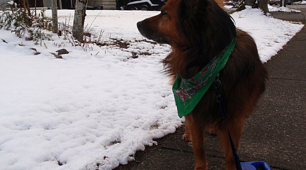 Max in the snow