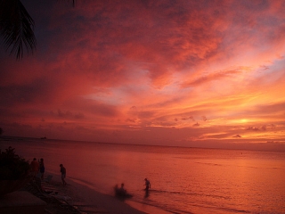 A beautiful sunset