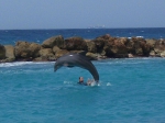 Curacao and Aruba May 2009 Dolphin Academy, Curacao