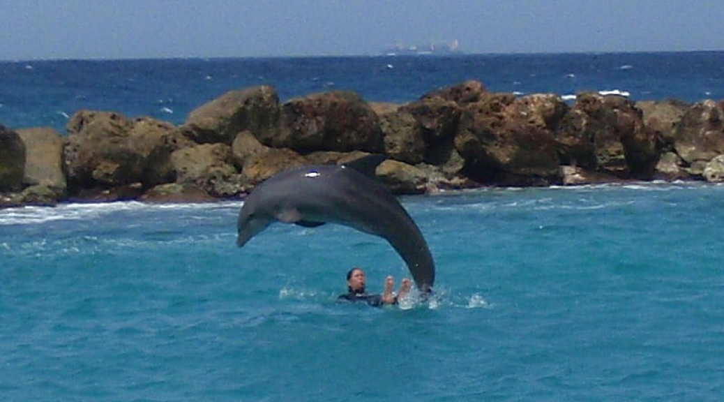 Dolphin Academy, Curacao