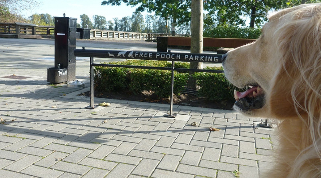 FREE Pooch Parking