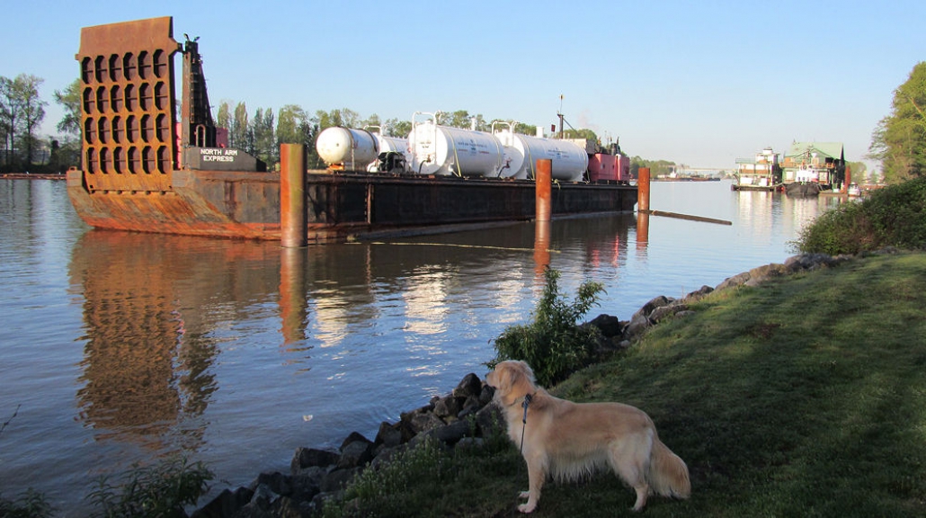 Barge on the water