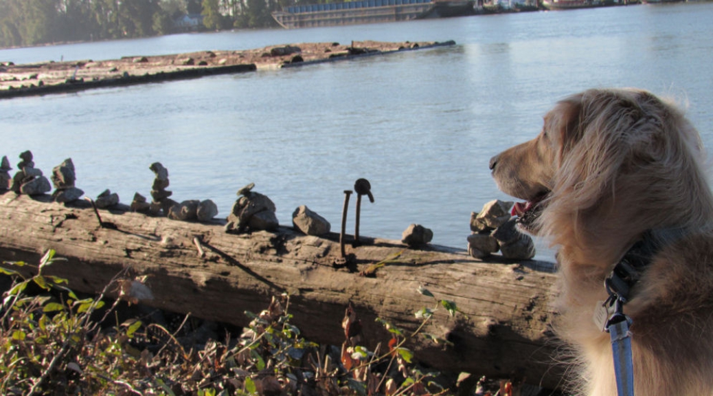 Bailey checks out the inukshuks