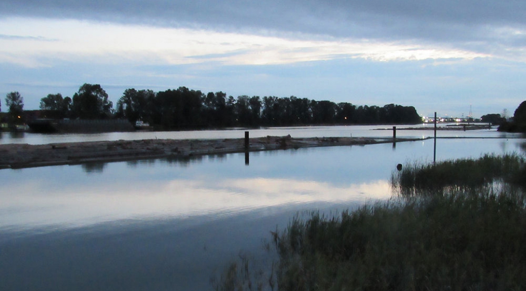 Evening on the Fraser River