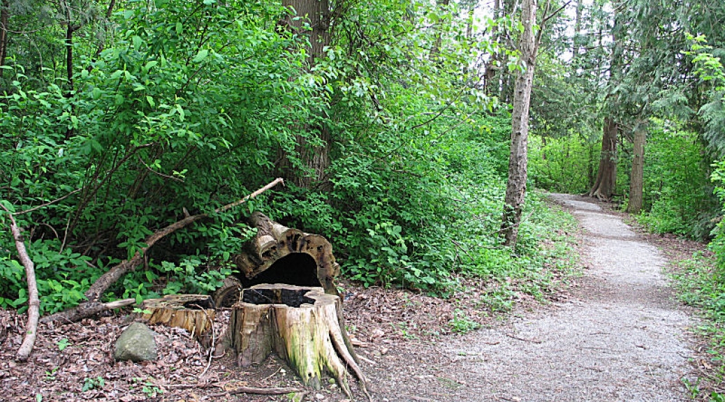 Royal Heights Park