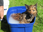 Max in a bucket!