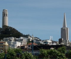 Coit and Transamerica buildings