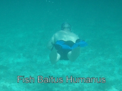 Fish baitus humanas