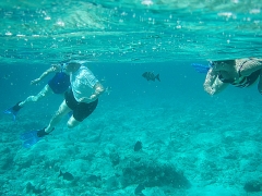 Underwater-2 