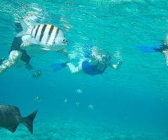 Snorkeling 