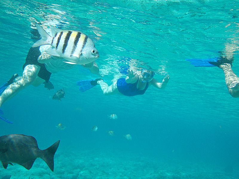 Snorkeling 