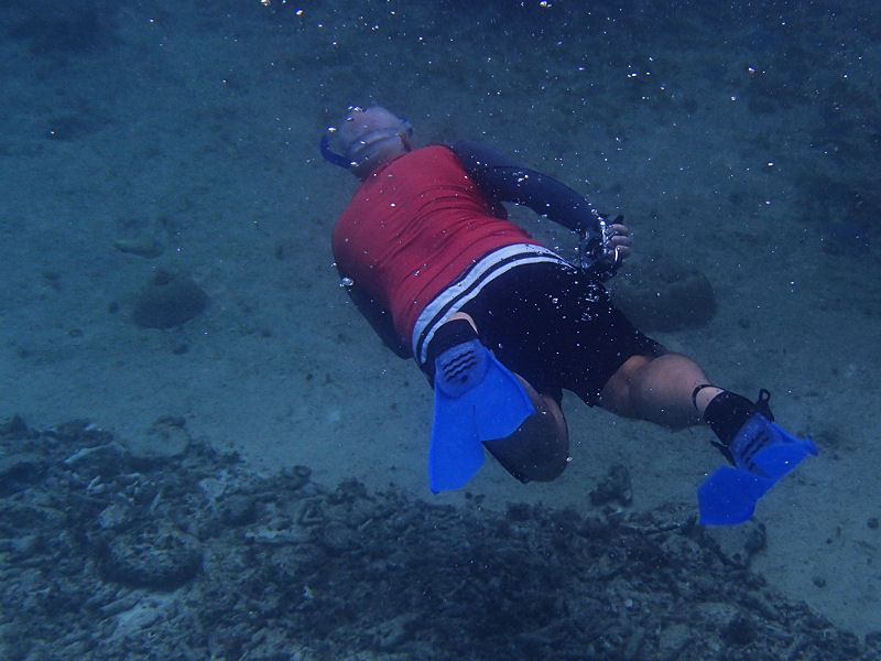 Diving at Daaibooi