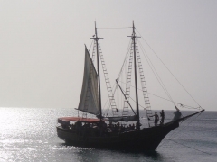 Pelican sailing ship