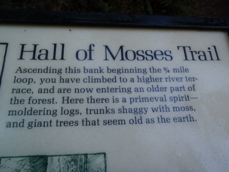 Hall of Mosses