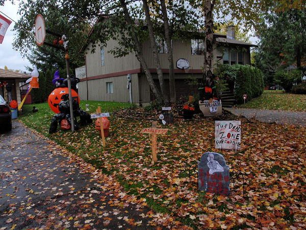 The side yard, Oct. 30, 2009