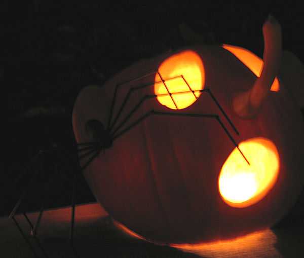 Spider pumpkin