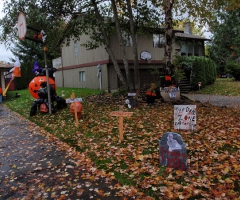 The side yard, Oct. 30, 2009