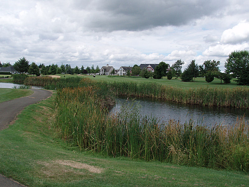 Tough tee box, Linden Washington