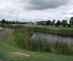 Tough tee box, Linden Washington