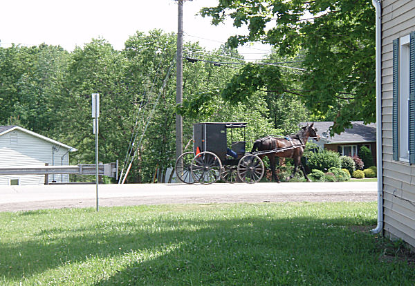 Amish buggy