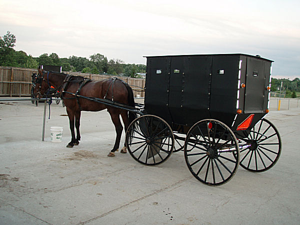 Amish SUV