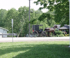 Amish buggy