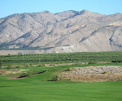 Orchards of fruit trees