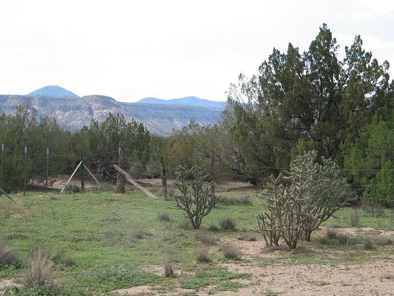 A view near Cochiti