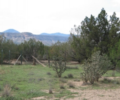 A view near Cochiti