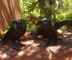 Bronze crows