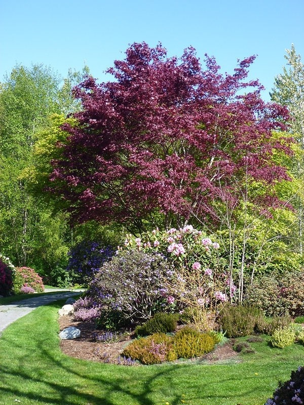 Blooms in Hawthorne Park