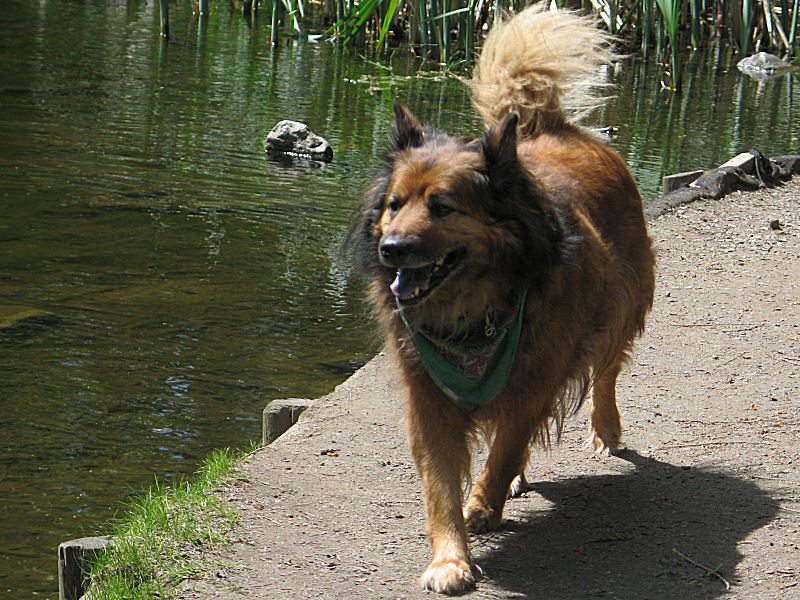 Max in Crescent Park