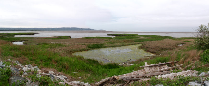 Mudbay Park - Panorama