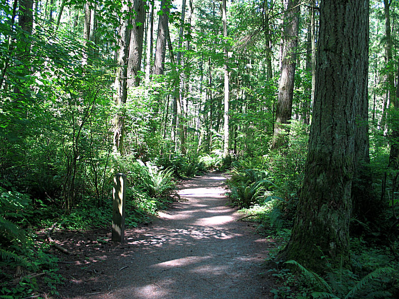 On the Chickadee Loop