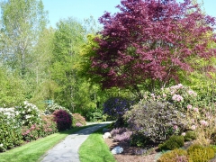 Blooms in Hawthorne Park