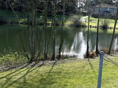 Boundary Park Lake