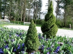 Fleetwood-Gardens