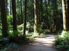 Watershed park  