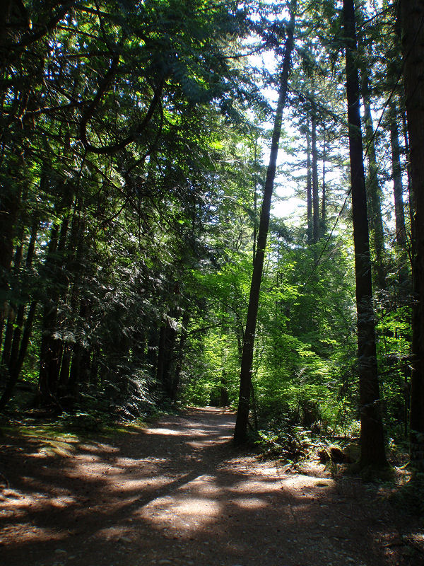 Watershed park  