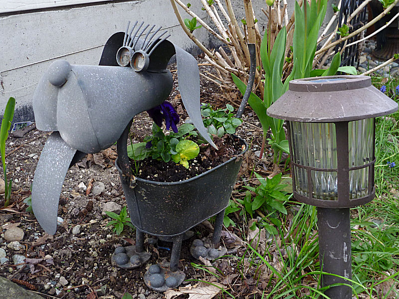 Dog planter